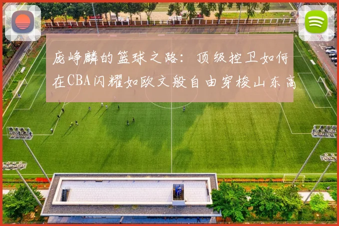 庞峥麟的篮球之路：顶级控卫如何在CBA闪耀如欧文般自由穿梭山东高速